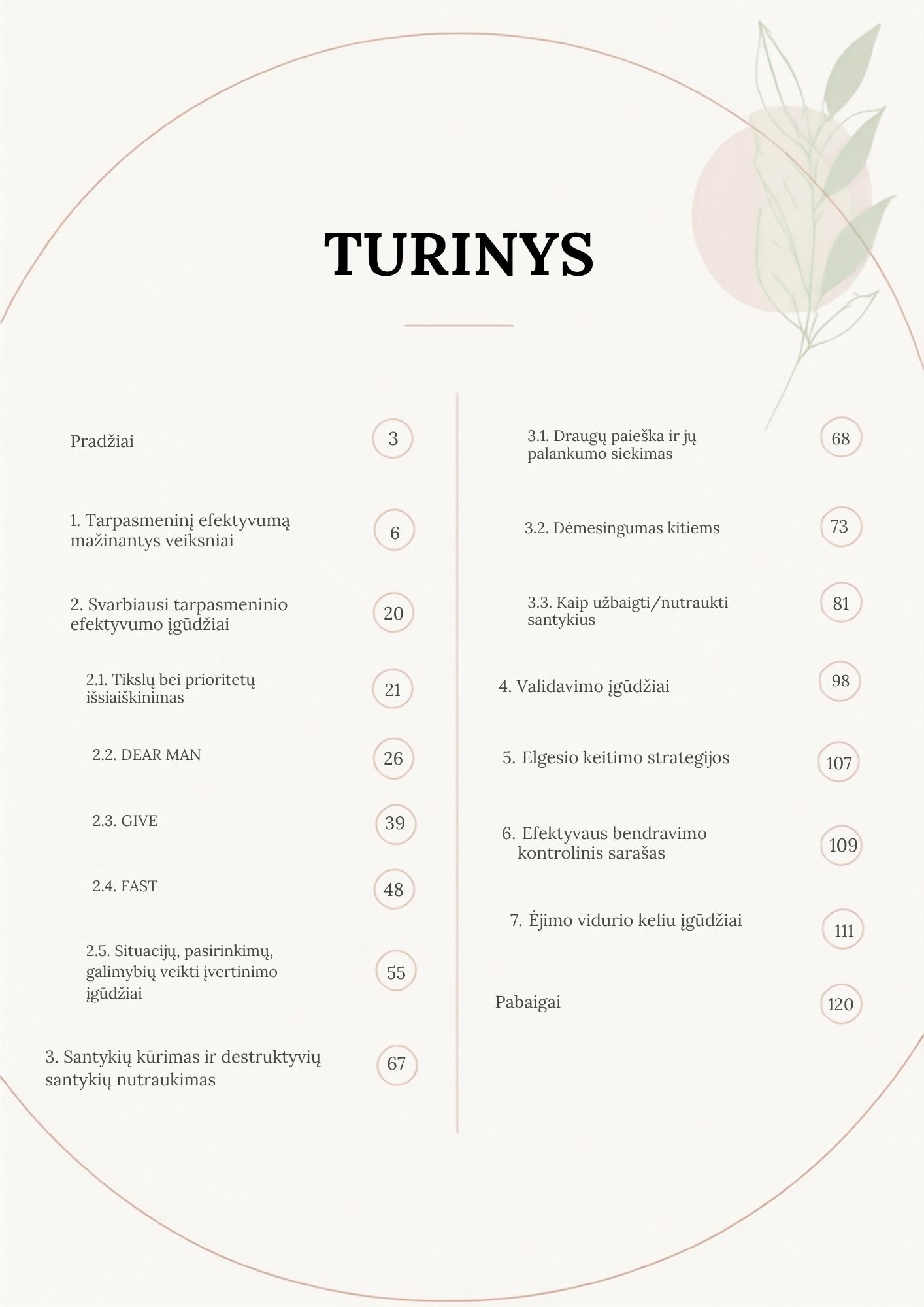 DBT tarpasmeninio efektyvumo įgūdžiai (pdf) - Image 2